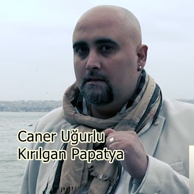 Kırılgan Papatya (2020)
