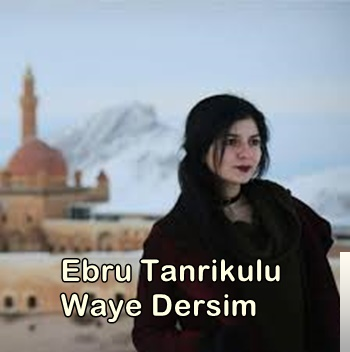 Waye Dersim (2009)