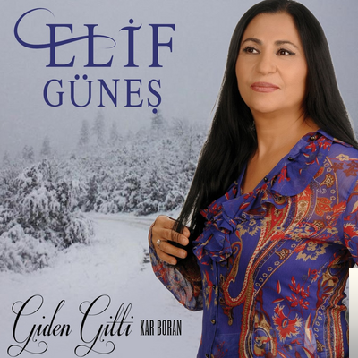 Giden Gitti (2019)
