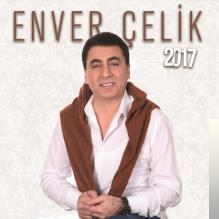 Enver Çelik (2017)