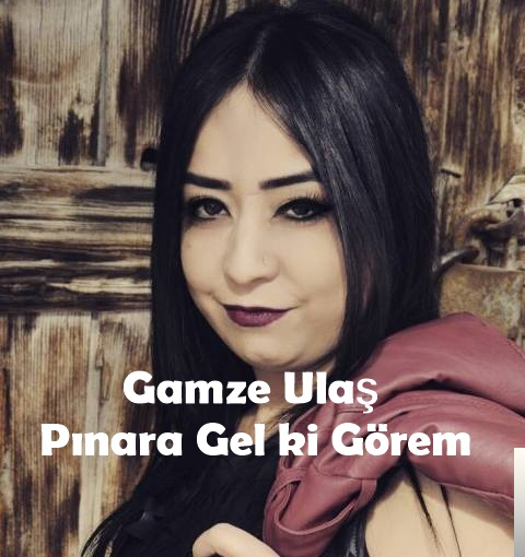 Pınara Gel ki Görem (2018)