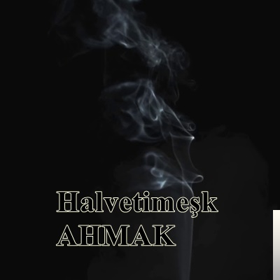 Ahmak (2019)