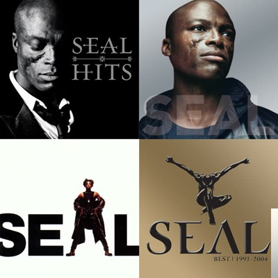 Seal Best Song