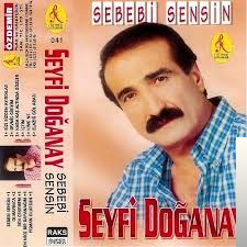 Sebebi Sensin (1998)