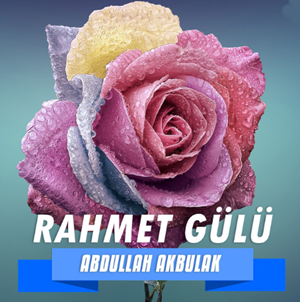 Rahmet Gülü (2013)