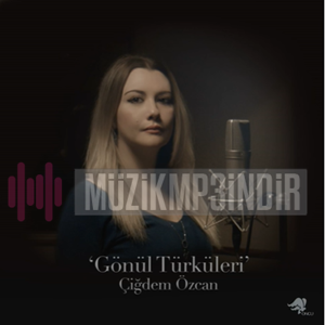 Gönül Türküleri (2017)