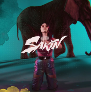 Sakin (2020)