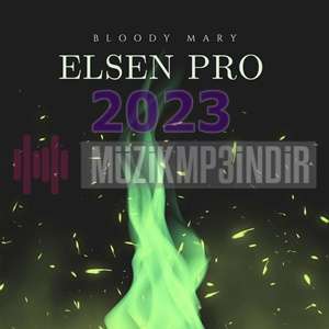 Elsen Pro (2023)