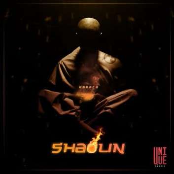 Shaolin (2022)