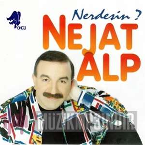 Nerdesin (1995)