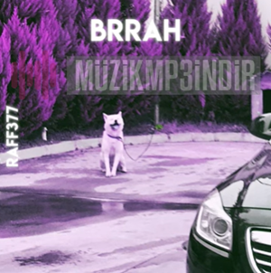 Brrah (2024)