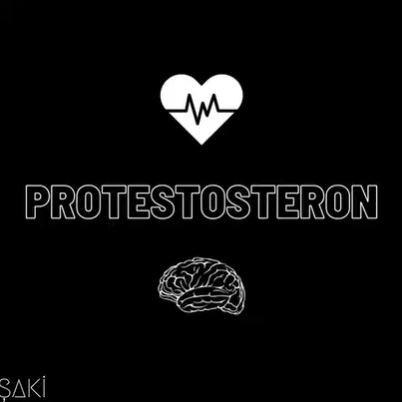 Protestosteron (2021)