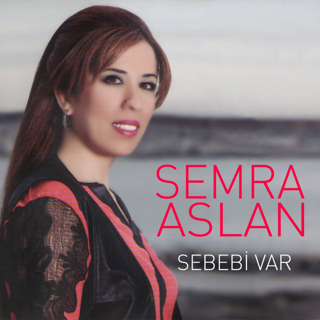 Sebebi Var (2020)