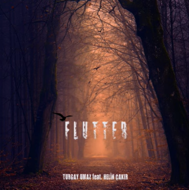 Flutter (2021)
