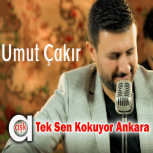 Tek Sen Kokuyor Ankara (2021)